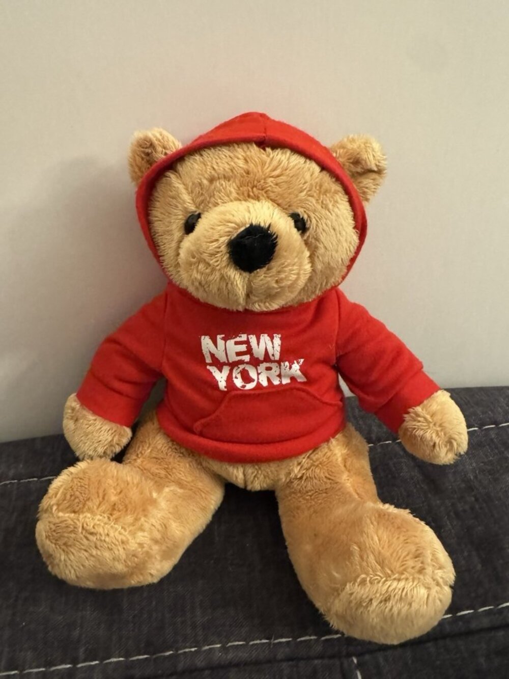 FAO Schwarz Plush Teddy Bear New York Hoodie Souvenir 10" CS12
